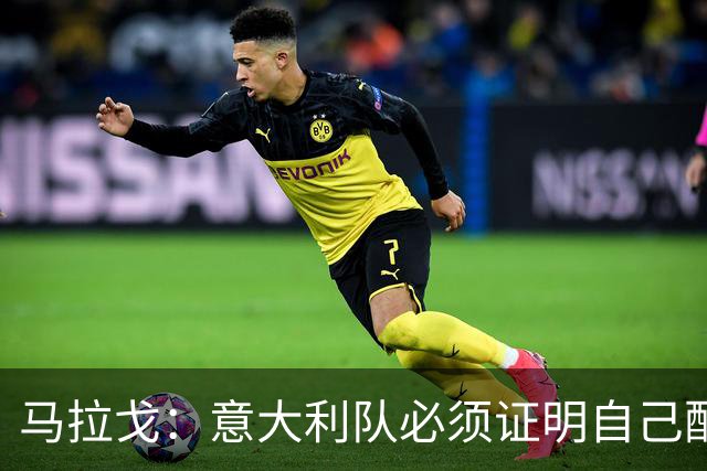 马拉戈：意大利队必须证明自己配得上大家给予的信任